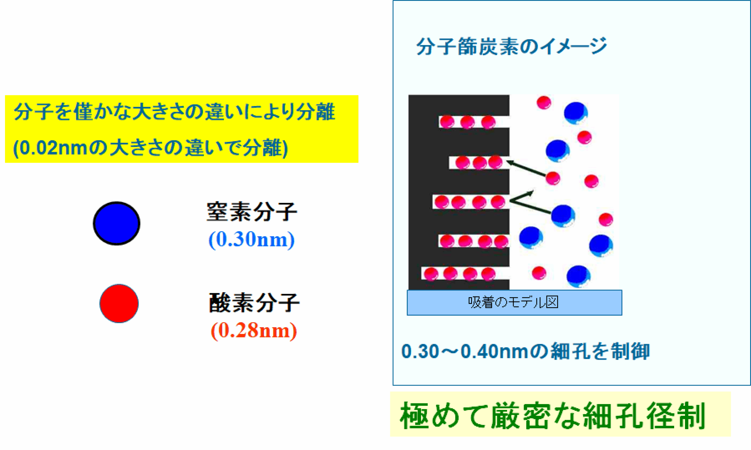 MSCとは