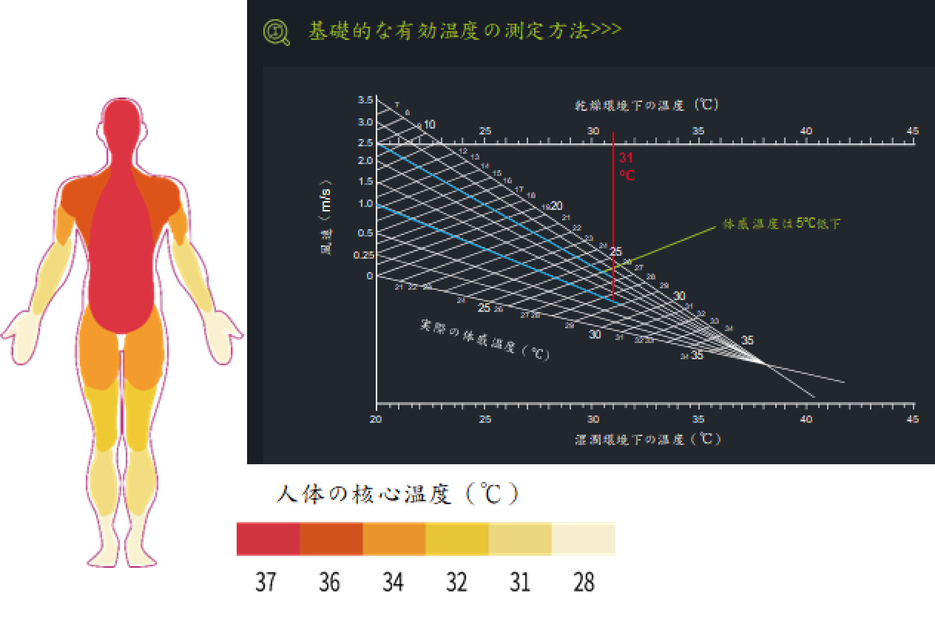 有効温度の測定方法