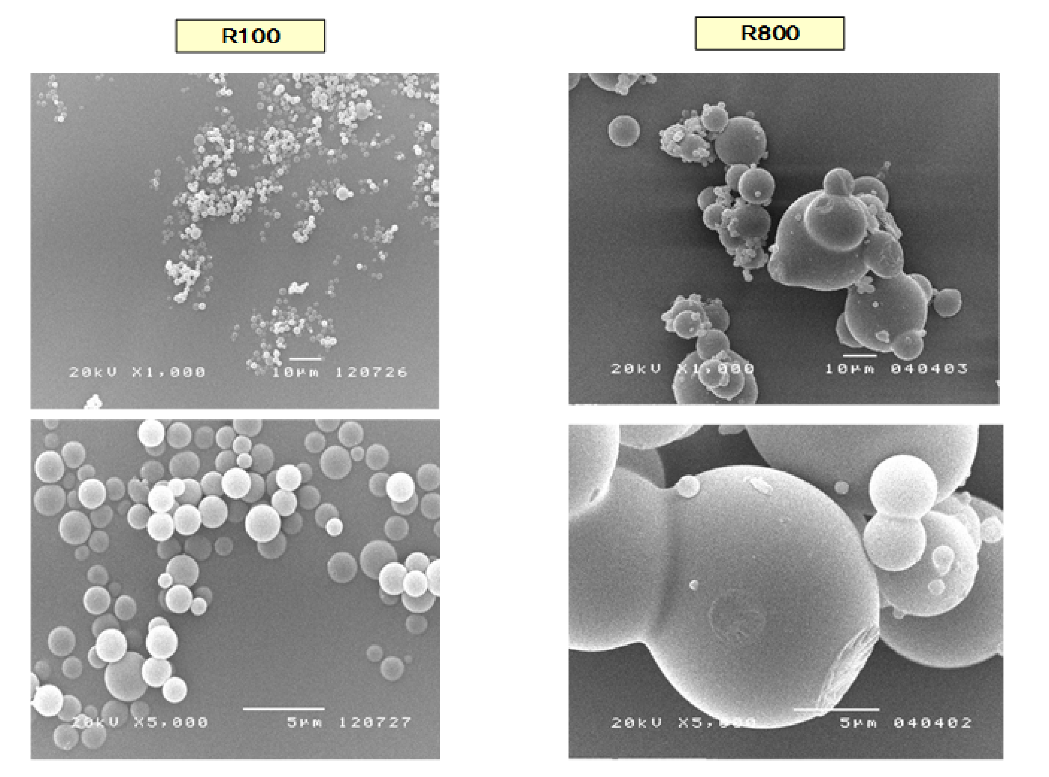 ＭＧ４のベルパールの開発
